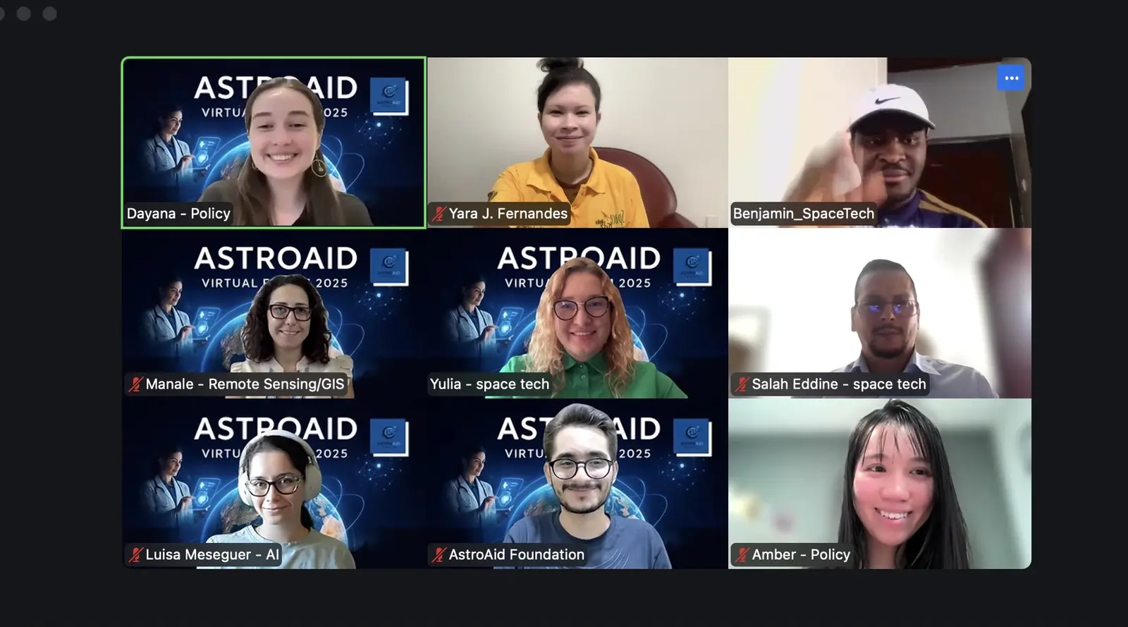 A cross-disciplinary breakout team in a virtual meeting